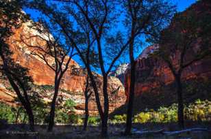 Zion Canyon, Fall-4416